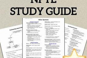 Best NPTE Study Guide [Prep + Tips] | Study Travel Abroad | Explore Educational Trips & Global Learning Opportunities
