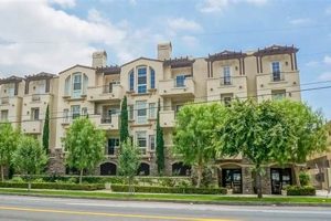 Find Condos for Sale Studio City, CA - Deals & More! Study Travel Abroad | Explore Educational Trips & Global Learning Opportunities Find Condos for Sale Studio City, CA - Deals & More! | Study Travel Abroad | Explore Educational Trips & Global Learning Opportunities