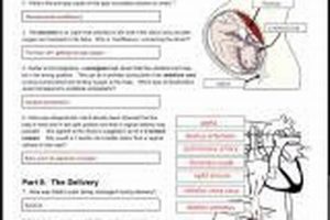 Decoding: Tiny Heart Case Study Answers + Guide Study Travel Abroad | Explore Educational Trips & Global Learning Opportunities Decoding: Tiny Heart Case Study Answers + Guide | Study Travel Abroad | Explore Educational Trips & Global Learning Opportunities