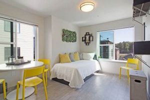 Find: Studio Apartments Seattle Under $800 Today! Study Travel Abroad | Explore Educational Trips & Global Learning Opportunities Find: Studio Apartments Seattle Under $800 Today! | Study Travel Abroad | Explore Educational Trips & Global Learning Opportunities