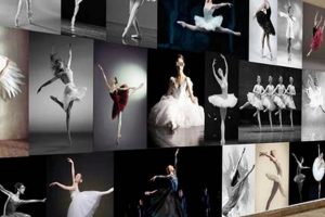 Essential Wall Fixtures for Your Ballet Studio Space Study Travel Abroad | Explore Educational Trips & Global Learning Opportunities Essential Wall Fixtures for Your Ballet Studio Space | Study Travel Abroad | Explore Educational Trips & Global Learning Opportunities