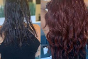 Find Your Collective Hair Studio: Guide & Benefits Study Travel Abroad | Explore Educational Trips & Global Learning Opportunities Find Your Collective Hair Studio: Guide & Benefits | Study Travel Abroad | Explore Educational Trips & Global Learning Opportunities
