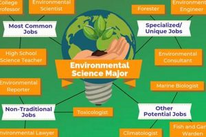 Eco Careers: Environmental Studies Jobs + Growth Study Travel Abroad | Explore Educational Trips & Global Learning Opportunities Eco Careers: Environmental Studies Jobs + Growth | Study Travel Abroad | Explore Educational Trips & Global Learning Opportunities