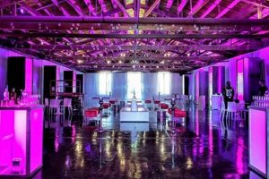 Explore Ice Palace Film Studios: Production Hub Study Travel Abroad | Explore Educational Trips & Global Learning Opportunities Explore Ice Palace Film Studios: Production Hub | Study Travel Abroad | Explore Educational Trips & Global Learning Opportunities