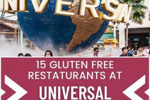 Your Guide: Gluten Free at Universal Studios Tips & Eats! Study Travel Abroad | Explore Educational Trips & Global Learning Opportunities Your Guide: Gluten Free at Universal Studios Tips & Eats! | Study Travel Abroad | Explore Educational Trips & Global Learning Opportunities