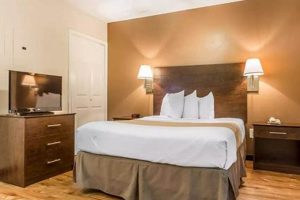 Find: Suburban Studios Near Me - Creative Spaces Await! Study Travel Abroad | Explore Educational Trips & Global Learning Opportunities Find: Suburban Studios Near Me - Creative Spaces Await! | Study Travel Abroad | Explore Educational Trips & Global Learning Opportunities