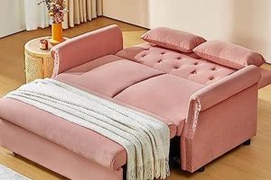 Best Sofa Bed for Studio Apartment: Space-Saving Guide Study Travel Abroad | Explore Educational Trips & Global Learning Opportunities Best Sofa Bed for Studio Apartment: Space-Saving Guide | Study Travel Abroad | Explore Educational Trips & Global Learning Opportunities