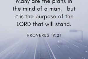 Unlocking Proverbs 19-21: A Deep Dive Study Guide Study Travel Abroad | Explore Educational Trips & Global Learning Opportunities Unlocking Proverbs 19-21: A Deep Dive Study Guide | Study Travel Abroad | Explore Educational Trips & Global Learning Opportunities
