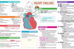 Download: Med Surg Certification Study Guide PDF - Prep Now! Study Travel Abroad | Explore Educational Trips & Global Learning Opportunities Download: Med Surg Certification Study Guide PDF - Prep Now! | Study Travel Abroad | Explore Educational Trips & Global Learning Opportunities