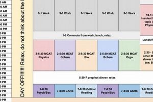 Prep Like a Pro: 6 Month MCAT Study Schedule + Tips Study Travel Abroad | Explore Educational Trips & Global Learning Opportunities Prep Like a Pro: 6 Month MCAT Study Schedule + Tips | Study Travel Abroad | Explore Educational Trips & Global Learning Opportunities