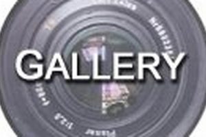 Explore: The Tiny Wonder Studio Hub +More Study Travel Abroad | Explore Educational Trips & Global Learning Opportunities Explore: The Tiny Wonder Studio Hub +More | Study Travel Abroad | Explore Educational Trips & Global Learning Opportunities