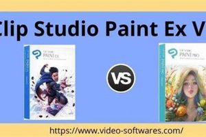 Clip Studio: Pro vs EX - Which Edition is Right For You? Study Travel Abroad | Explore Educational Trips & Global Learning Opportunities Clip Studio: Pro vs EX - Which Edition is Right For You? | Study Travel Abroad | Explore Educational Trips & Global Learning Opportunities