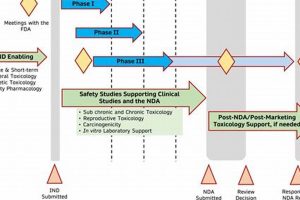 Pre-IND: Enabling Studies Guide & Steps Safem Fabrication - Precision Engineering & Custom Manufacturing Solutions Pre-IND: Enabling Studies Guide & Steps | Safem Fabrication - Precision Engineering & Custom Manufacturing Solutions