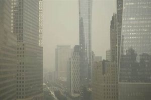 Breathe Easy: Air Quality in Studio City Updates Study Travel Abroad | Explore Educational Trips & Global Learning Opportunities Breathe Easy: Air Quality in Studio City Updates | Study Travel Abroad | Explore Educational Trips & Global Learning Opportunities