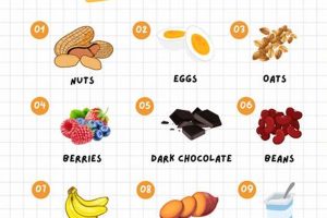Top-Rated Great Study Snacks: Fuel Your Brain! Safem Fabrication - Precision Engineering & Custom Manufacturing Solutions Top-Rated Great Study Snacks: Fuel Your Brain! | Safem Fabrication - Precision Engineering & Custom Manufacturing Solutions