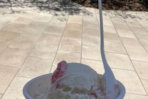 Best Ice Cream in Studio City: Scoops & Sweet Treats! Study Travel Abroad | Explore Educational Trips & Global Learning Opportunities Best Ice Cream in Studio City: Scoops & Sweet Treats! | Study Travel Abroad | Explore Educational Trips & Global Learning Opportunities