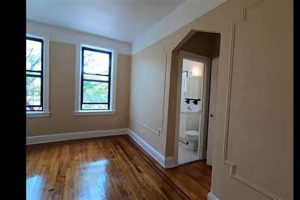 Astoria Studio Apartments: Cozy NYC Living! Study Travel Abroad | Explore Educational Trips & Global Learning Opportunities Astoria Studio Apartments: Cozy NYC Living! | Study Travel Abroad | Explore Educational Trips & Global Learning Opportunities