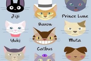 Magical Studio Ghibli Cat Names + Inspiration Study Travel Abroad | Explore Educational Trips & Global Learning Opportunities Magical Studio Ghibli Cat Names + Inspiration | Study Travel Abroad | Explore Educational Trips & Global Learning Opportunities