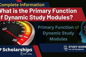 Boost Study: Dynamic Study Modules - Explained! Study Travel Abroad | Explore Educational Trips & Global Learning Opportunities Boost Study: Dynamic Study Modules - Explained! | Study Travel Abroad | Explore Educational Trips & Global Learning Opportunities