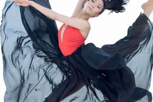Learn Dance & Arts | HL Studio | Shine! Study Travel Abroad | Explore Educational Trips & Global Learning Opportunities Learn Dance & Arts | HL Studio | Shine! | Study Travel Abroad | Explore Educational Trips & Global Learning Opportunities