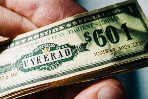 Guide: Does Universal Studios Accept Cash? [2024] | Study Travel Abroad | Explore Educational Trips & Global Learning Opportunities