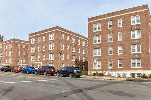 Find Bridgeport CT Studio Apartments: Rentals & Deals! Study Travel Abroad | Explore Educational Trips & Global Learning Opportunities Find Bridgeport CT Studio Apartments: Rentals & Deals! | Study Travel Abroad | Explore Educational Trips & Global Learning Opportunities