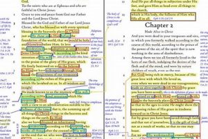 Your Best Book of Ephesians Study Guide: Deep Dive! Study Travel Abroad | Explore Educational Trips & Global Learning Opportunities Your Best Book of Ephesians Study Guide: Deep Dive! | Study Travel Abroad | Explore Educational Trips & Global Learning Opportunities