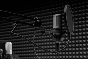 Creating a Microphone Studio Like Sound: Tips & Tricks Study Travel Abroad | Explore Educational Trips & Global Learning Opportunities Creating a Microphone Studio Like Sound: Tips & Tricks | Study Travel Abroad | Explore Educational Trips & Global Learning Opportunities