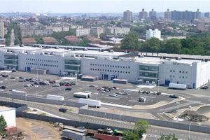 Careers at Steiner Studios Brooklyn: Media Jobs Now Study Travel Abroad | Explore Educational Trips & Global Learning Opportunities Careers at Steiner Studios Brooklyn: Media Jobs Now | Study Travel Abroad | Explore Educational Trips & Global Learning Opportunities