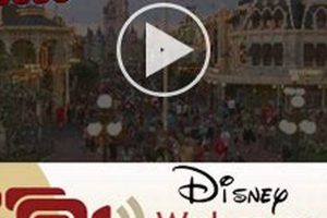 Watch Orlando Webcam: Universal Studios Live View! Study Travel Abroad | Explore Educational Trips & Global Learning Opportunities Watch Orlando Webcam: Universal Studios Live View! | Study Travel Abroad | Explore Educational Trips & Global Learning Opportunities