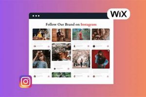 Easy Wix Studio: Embed Instagram Feed Now! Study Travel Abroad | Explore Educational Trips & Global Learning Opportunities Easy Wix Studio: Embed Instagram Feed Now! | Study Travel Abroad | Explore Educational Trips & Global Learning Opportunities