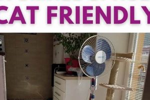 Making Cat Studio Apartment Life Pawsome! Study Travel Abroad | Explore Educational Trips & Global Learning Opportunities Making Cat Studio Apartment Life Pawsome! | Study Travel Abroad | Explore Educational Trips & Global Learning Opportunities
