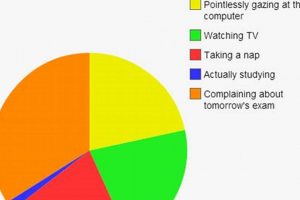 Pie Chart Study: Leah's Data Analysis Insights Study Travel Abroad | Explore Educational Trips & Global Learning Opportunities Pie Chart Study: Leah's Data Analysis Insights | Study Travel Abroad | Explore Educational Trips & Global Learning Opportunities