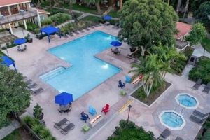 Find Corona Studios: Affordable Rentals Await! Study Travel Abroad | Explore Educational Trips & Global Learning Opportunities Find Corona Studios: Affordable Rentals Await! | Study Travel Abroad | Explore Educational Trips & Global Learning Opportunities