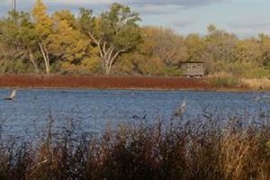 Visit The I-20 Wildlife Preserve: Nature Study Center Guide Study Travel Abroad | Explore Educational Trips & Global Learning Opportunities Visit The I-20 Wildlife Preserve: Nature Study Center Guide | Study Travel Abroad | Explore Educational Trips & Global Learning Opportunities