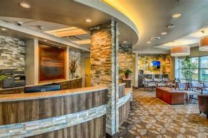 Unlock Bloom Studios' [CITY] Excellence: Photography & More | Study Travel Abroad | Explore Educational Trips & Global Learning Opportunities