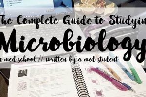 Best Guide: How to Study Microbiology + Tips! Study Travel Abroad | Explore Educational Trips & Global Learning Opportunities Best Guide: How to Study Microbiology + Tips! | Study Travel Abroad | Explore Educational Trips & Global Learning Opportunities