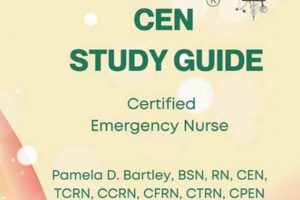 Ace the CEN: Pam Bartley's Study Guide + Success Tips! Study Travel Abroad | Explore Educational Trips & Global Learning Opportunities Ace the CEN: Pam Bartley's Study Guide + Success Tips! | Study Travel Abroad | Explore Educational Trips & Global Learning Opportunities