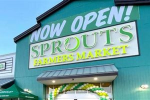 Sprouts Studio City Opening Date: Your Fresh Start! Study Travel Abroad | Explore Educational Trips & Global Learning Opportunities Sprouts Studio City Opening Date: Your Fresh Start! | Study Travel Abroad | Explore Educational Trips & Global Learning Opportunities