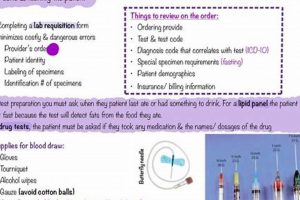 The Ultimate Phlebotomy Guide Study: Prep Tips & More Study Travel Abroad | Explore Educational Trips & Global Learning Opportunities The Ultimate Phlebotomy Guide Study: Prep Tips & More | Study Travel Abroad | Explore Educational Trips & Global Learning Opportunities