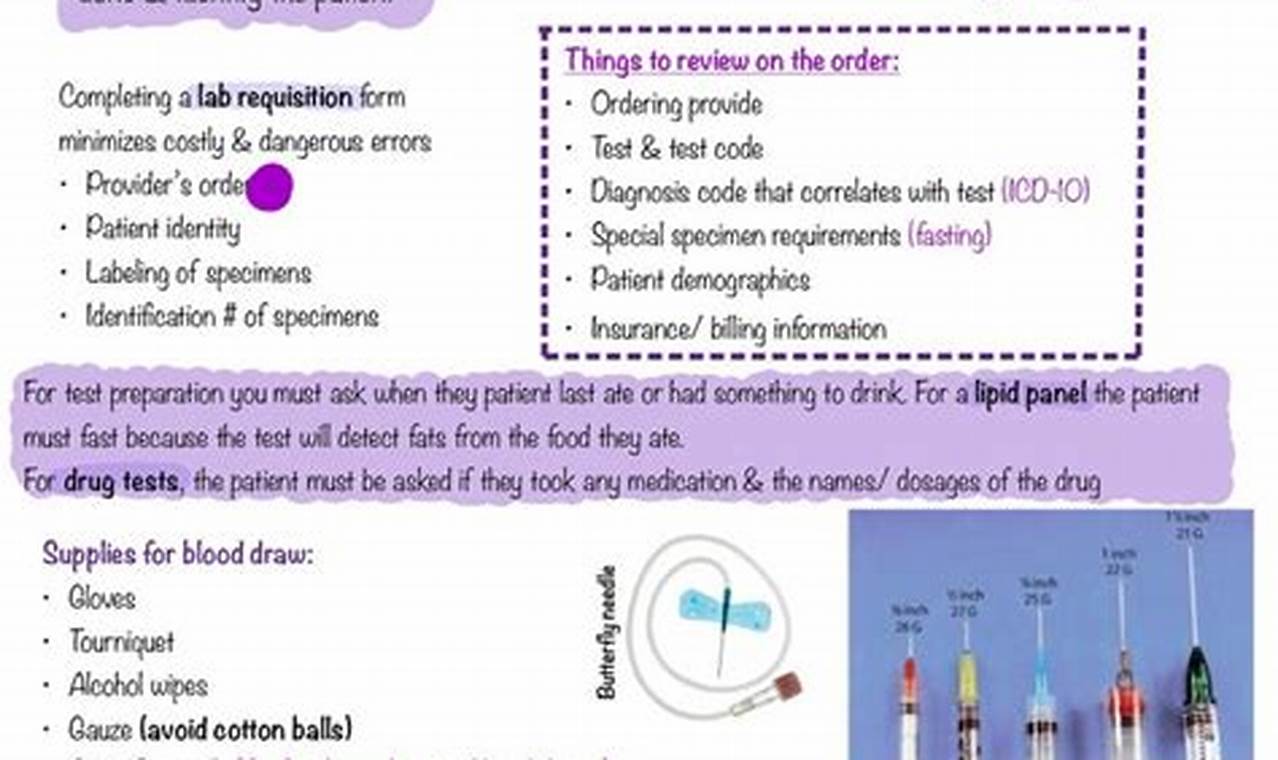 The Ultimate Phlebotomy Guide Study: Prep Tips & More Study Travel Abroad | Explore Educational Trips & Global Learning Opportunities The Ultimate Phlebotomy Guide Study: Prep Tips & More | Study Travel Abroad | Explore Educational Trips & Global Learning Opportunities