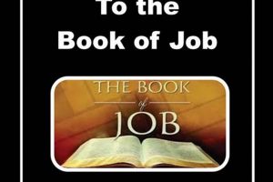 Your Book of Job Study Guide + Key Insights Study Travel Abroad | Explore Educational Trips & Global Learning Opportunities Your Book of Job Study Guide + Key Insights | Study Travel Abroad | Explore Educational Trips & Global Learning Opportunities