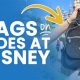 Universal Studios Hollywood: Can You Bring Bags on Rides? Tips &amp; Guide | Study Travel Abroad | Explore Educational Trips & Global Learning Opportunities