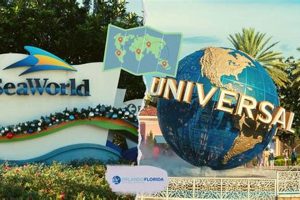 SeaWorld vs. Universal: Epic Theme Park Showdown! Study Travel Abroad | Explore Educational Trips & Global Learning Opportunities SeaWorld vs. Universal: Epic Theme Park Showdown! | Study Travel Abroad | Explore Educational Trips & Global Learning Opportunities