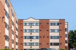 Find Cheap Studio Apartments for Rent in CT Near You Study Travel Abroad | Explore Educational Trips & Global Learning Opportunities Find Cheap Studio Apartments for Rent in CT Near You | Study Travel Abroad | Explore Educational Trips & Global Learning Opportunities