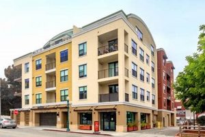 Find Your Santa Cruz Studio: Apartments, CA Rentals & More Study Travel Abroad | Explore Educational Trips & Global Learning Opportunities Find Your Santa Cruz Studio: Apartments, CA Rentals & More | Study Travel Abroad | Explore Educational Trips & Global Learning Opportunities