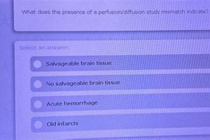Study: What Perfusion Mismatch Indicates? Explained | Study Travel Abroad | Explore Educational Trips & Global Learning Opportunities