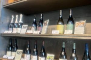 Elevate Your Vision | Smith and Co Studio Design | Study Travel Abroad | Explore Educational Trips & Global Learning Opportunities