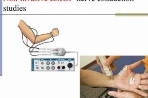 Fast EMG Nerve Study Near Me: Schedule Today! Study Travel Abroad | Explore Educational Trips & Global Learning Opportunities Fast EMG Nerve Study Near Me: Schedule Today! | Study Travel Abroad | Explore Educational Trips & Global Learning Opportunities