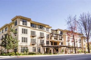 Discover Ivy Park Studio City: Style & Fitness Hub Study Travel Abroad | Explore Educational Trips & Global Learning Opportunities Discover Ivy Park Studio City: Style & Fitness Hub | Study Travel Abroad | Explore Educational Trips & Global Learning Opportunities